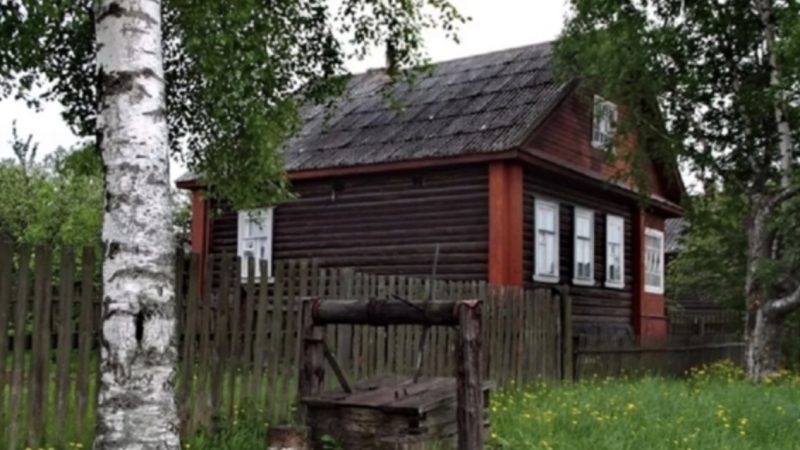 When Oleksandr evicted his wife and daughter from their home, they sought refuge in her inherited house nestled in the village. This abrupt change of scenery marked the beginning of a profound transformation in their lives.