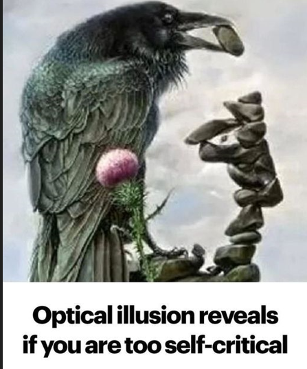 An optical illusion can reveal whether you tend to be overly critical of yourself.